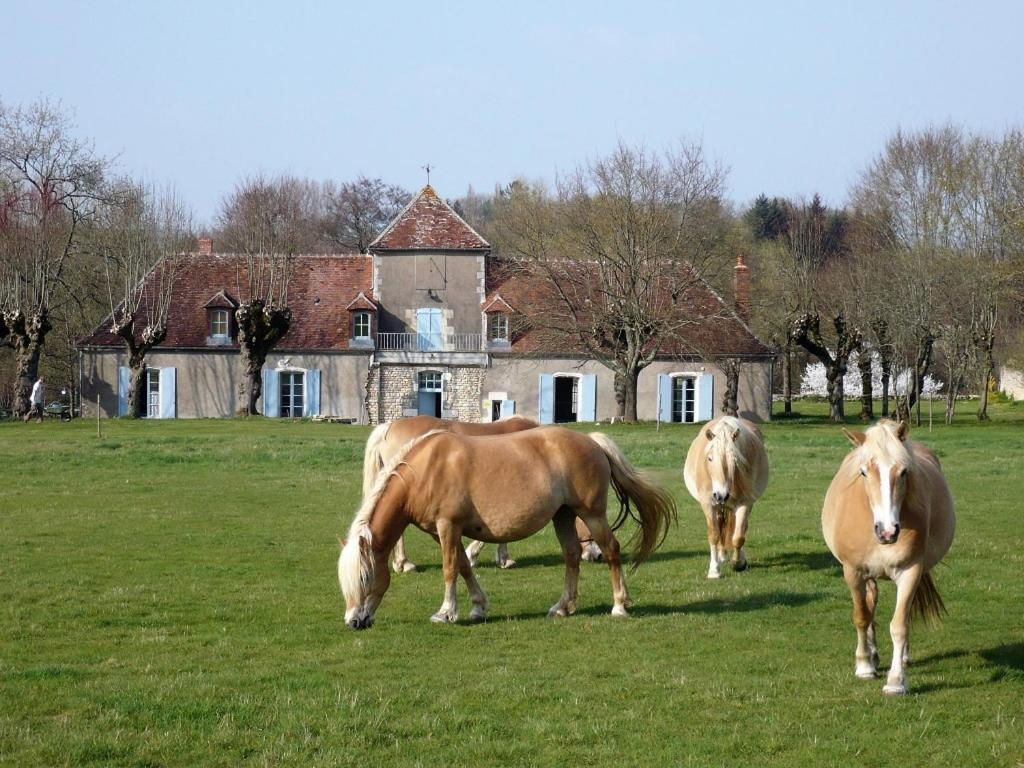 La Cuvellerie Hotel Narcy Bagian luar foto
